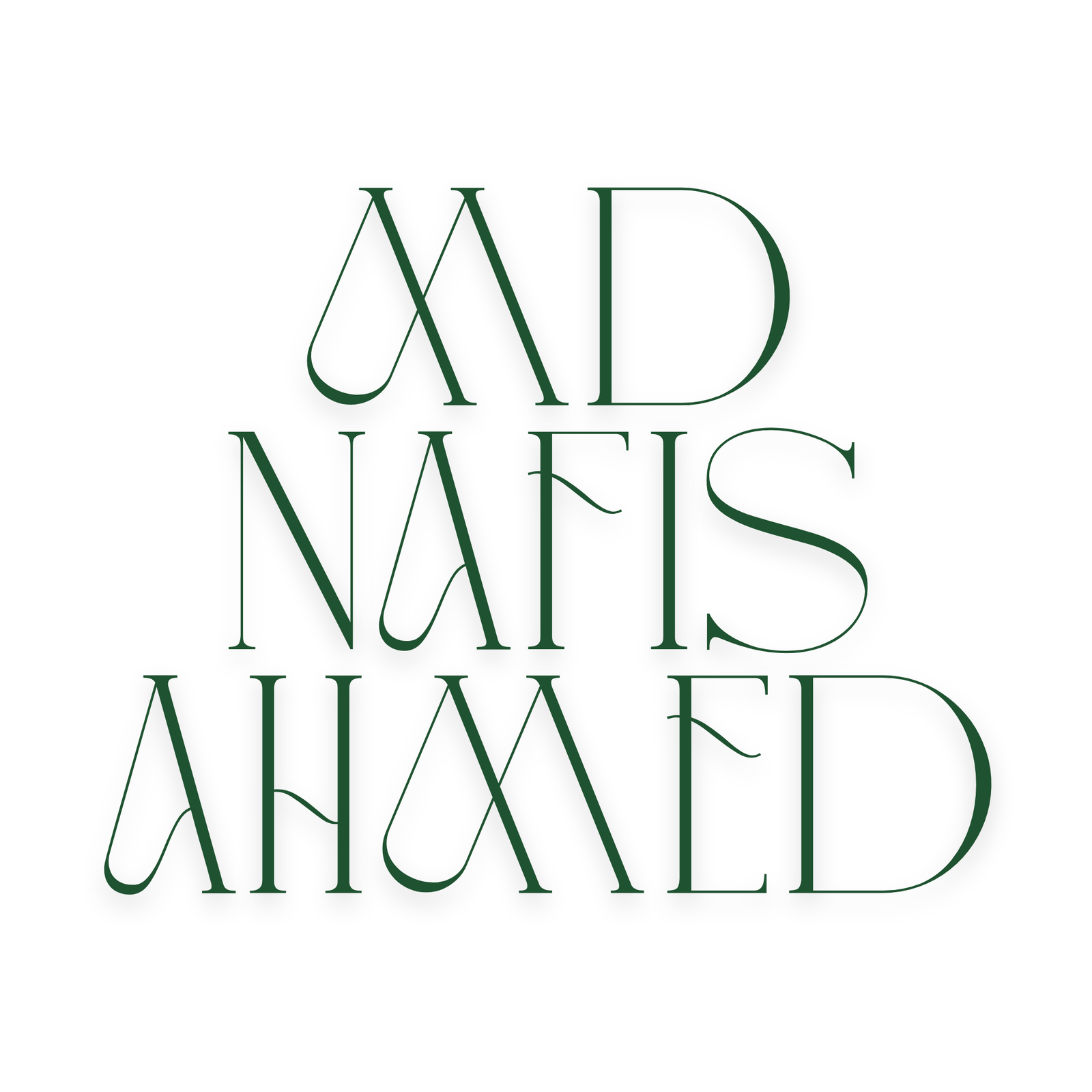 MD. Nafis Ahmed logo